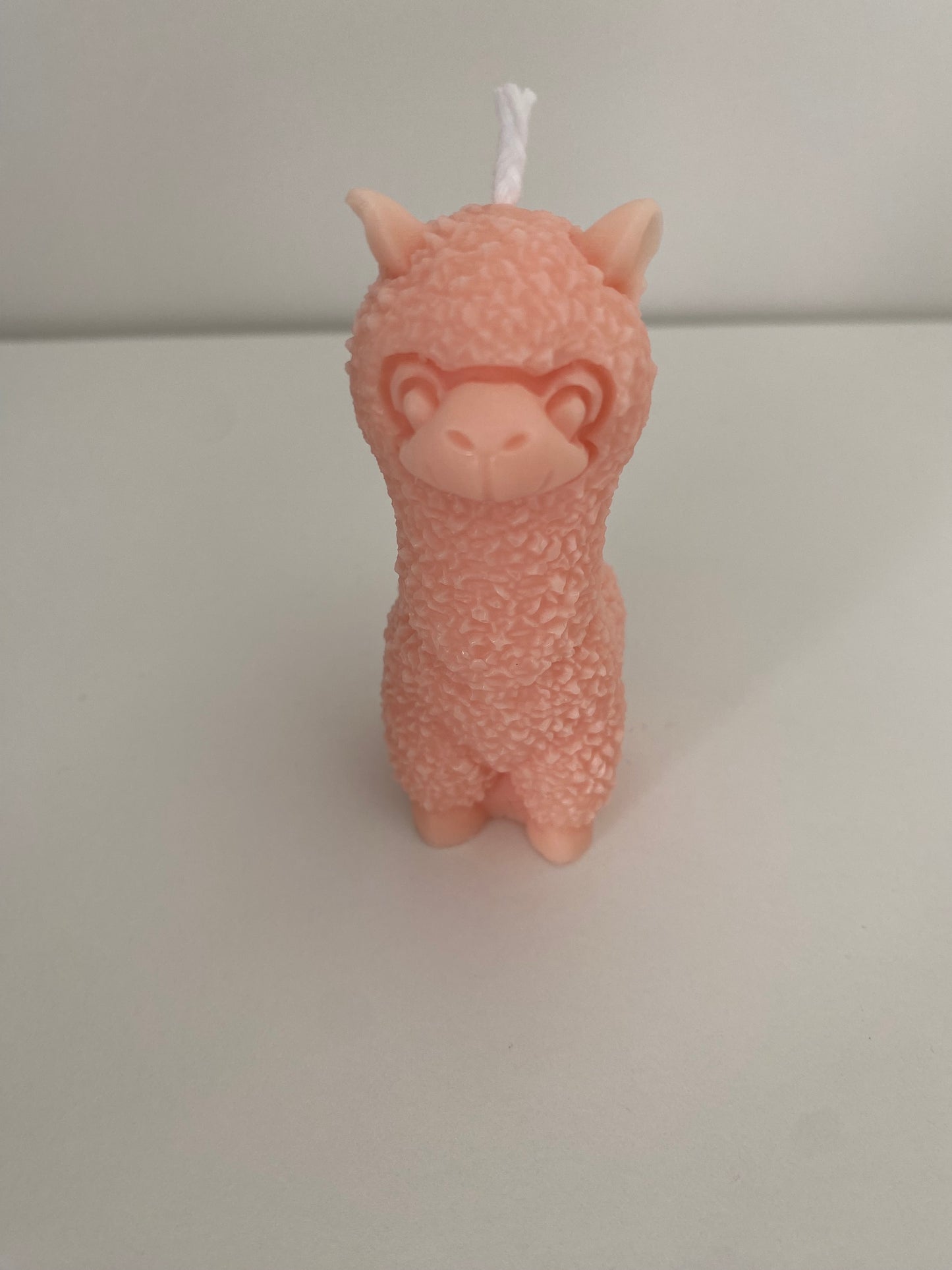 Alpaca