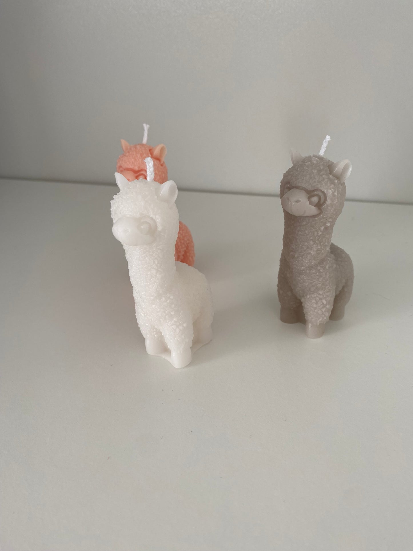 Alpaca