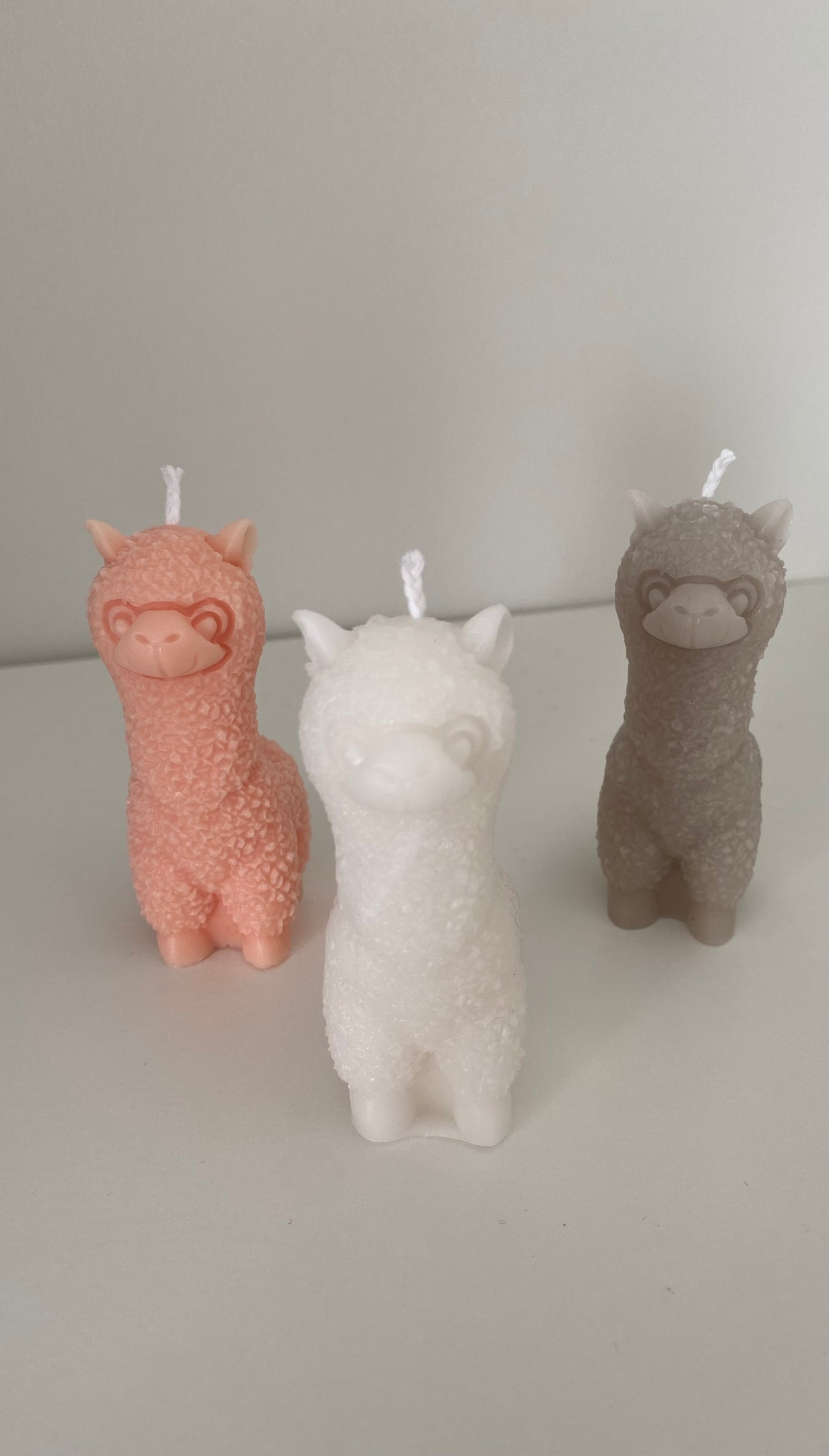 Alpaca