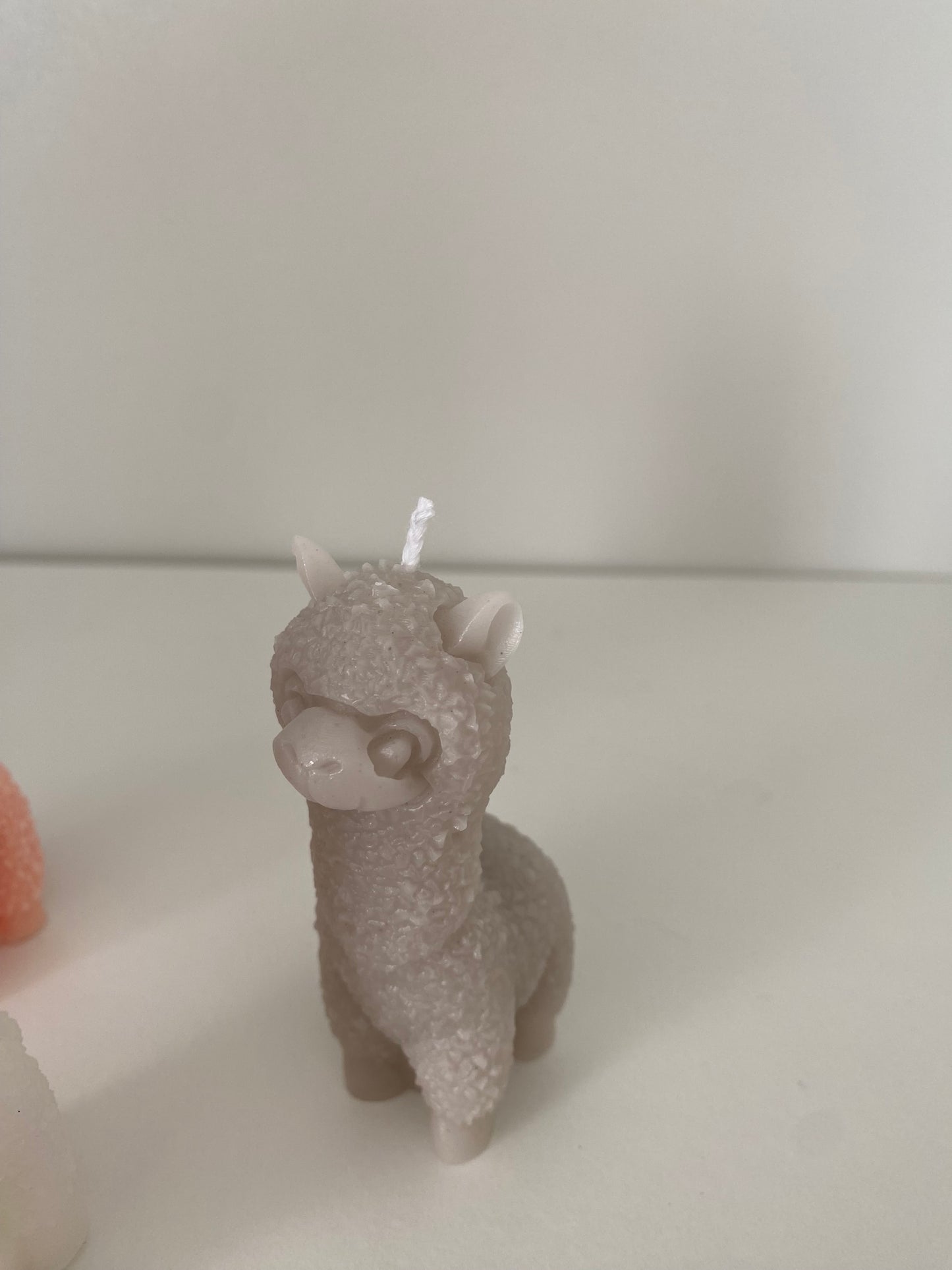 Alpaca
