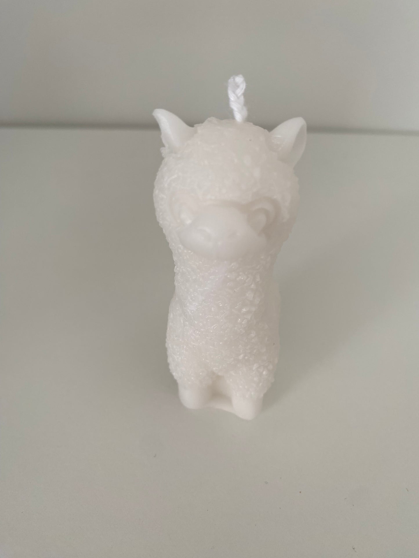 Alpaca