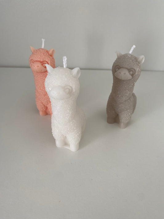 Alpaca