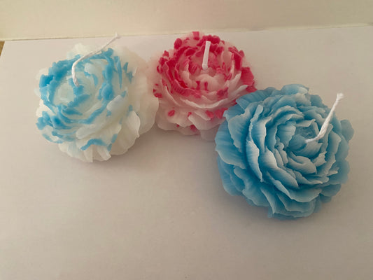 Vela em Flor